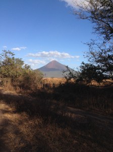 Photo Feb 01, 5 29 12 PM