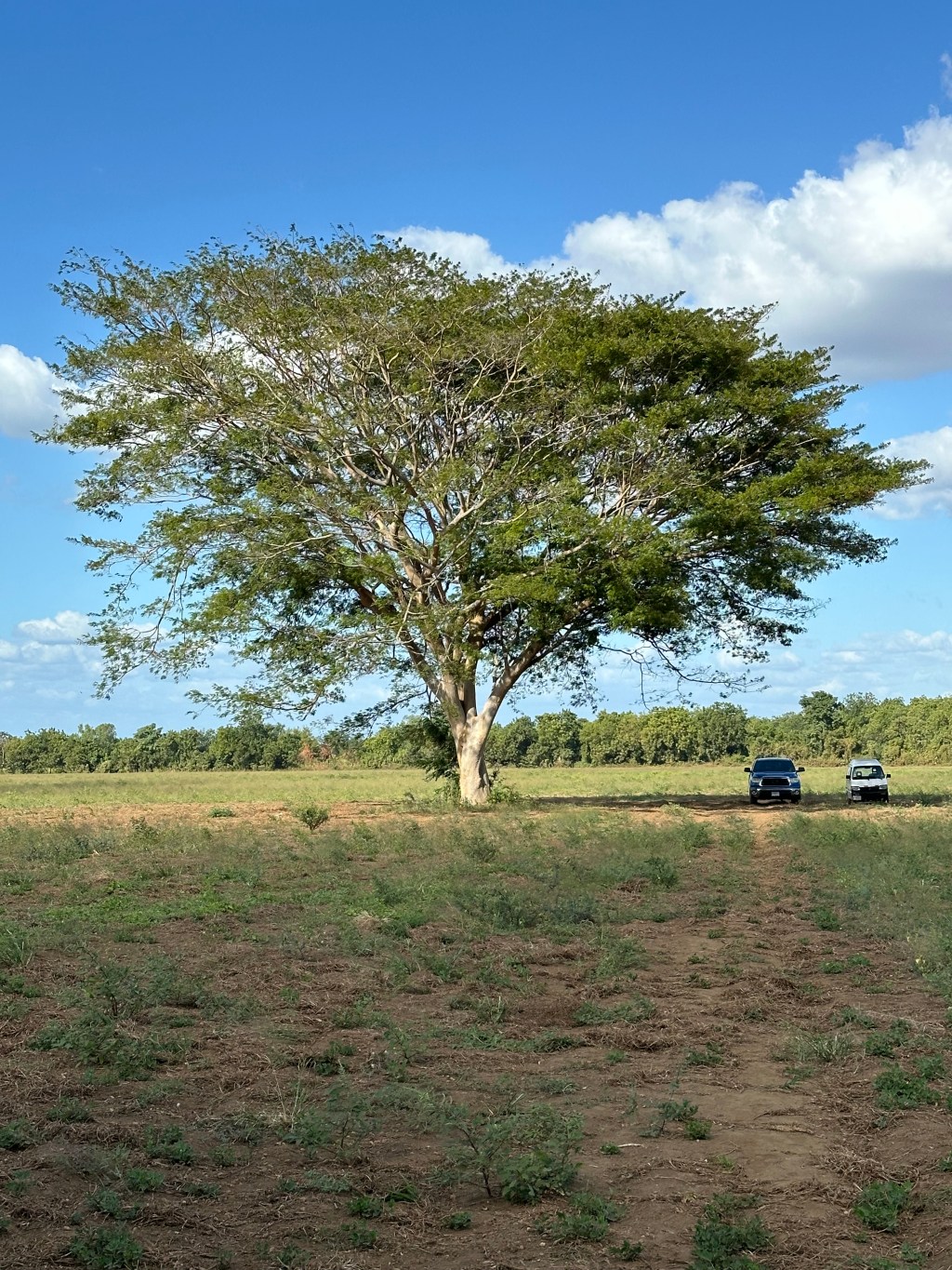 What is a Hope&nbsp;Ecosystem?