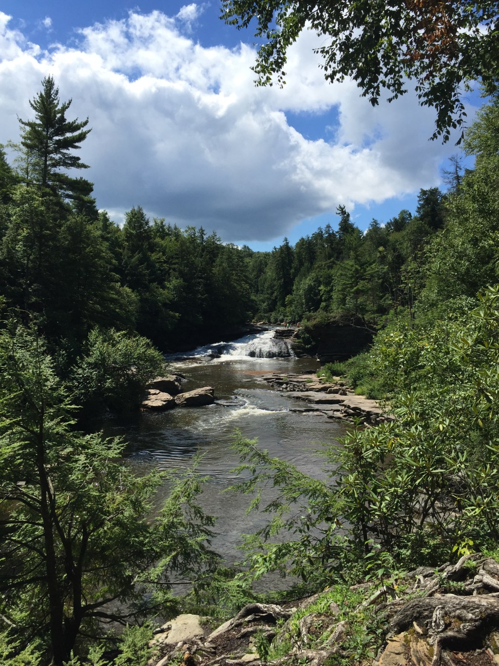 A River Life&nbsp;Perspective