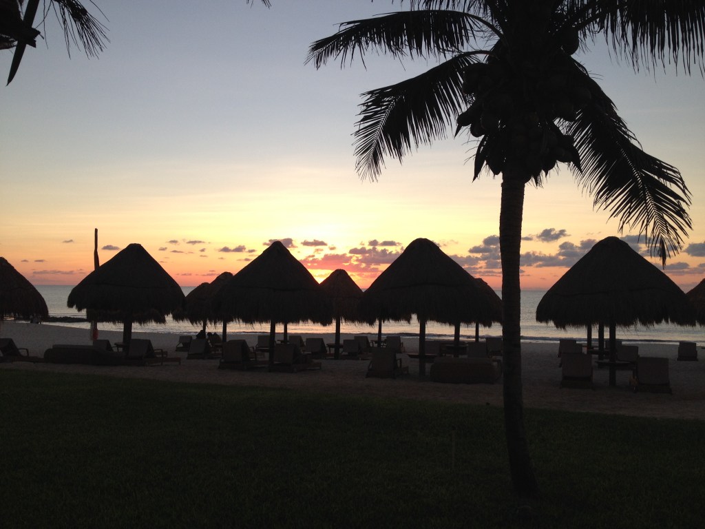 Finding Peace in&nbsp;Gratitude